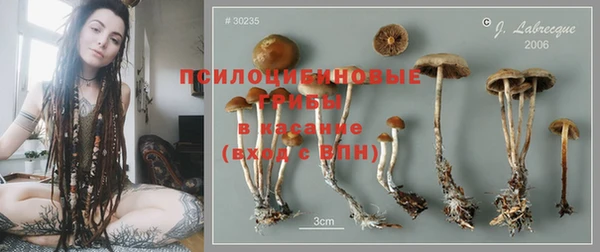 хмурый Зеленокумск