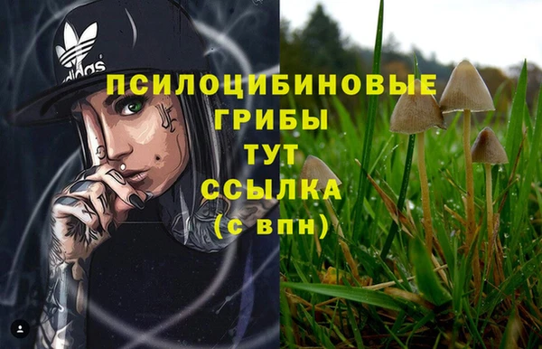 MDMA Premium VHQ Зерноград
