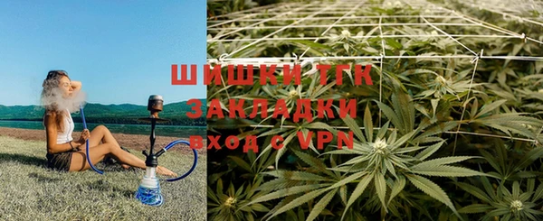 стафф Зеленодольск