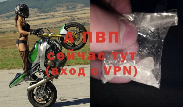 эйфоретик Инта