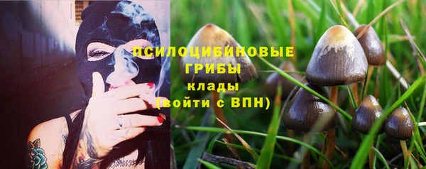MDMA Premium VHQ Зерноград