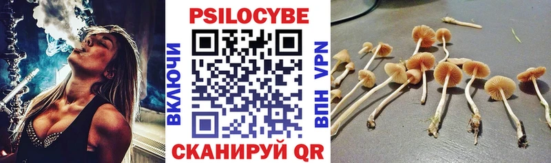 Купить где Балей Псилоцибиновые грибы мухоморы